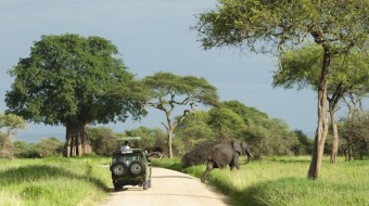 Cómo ir de Safari a Tanzania