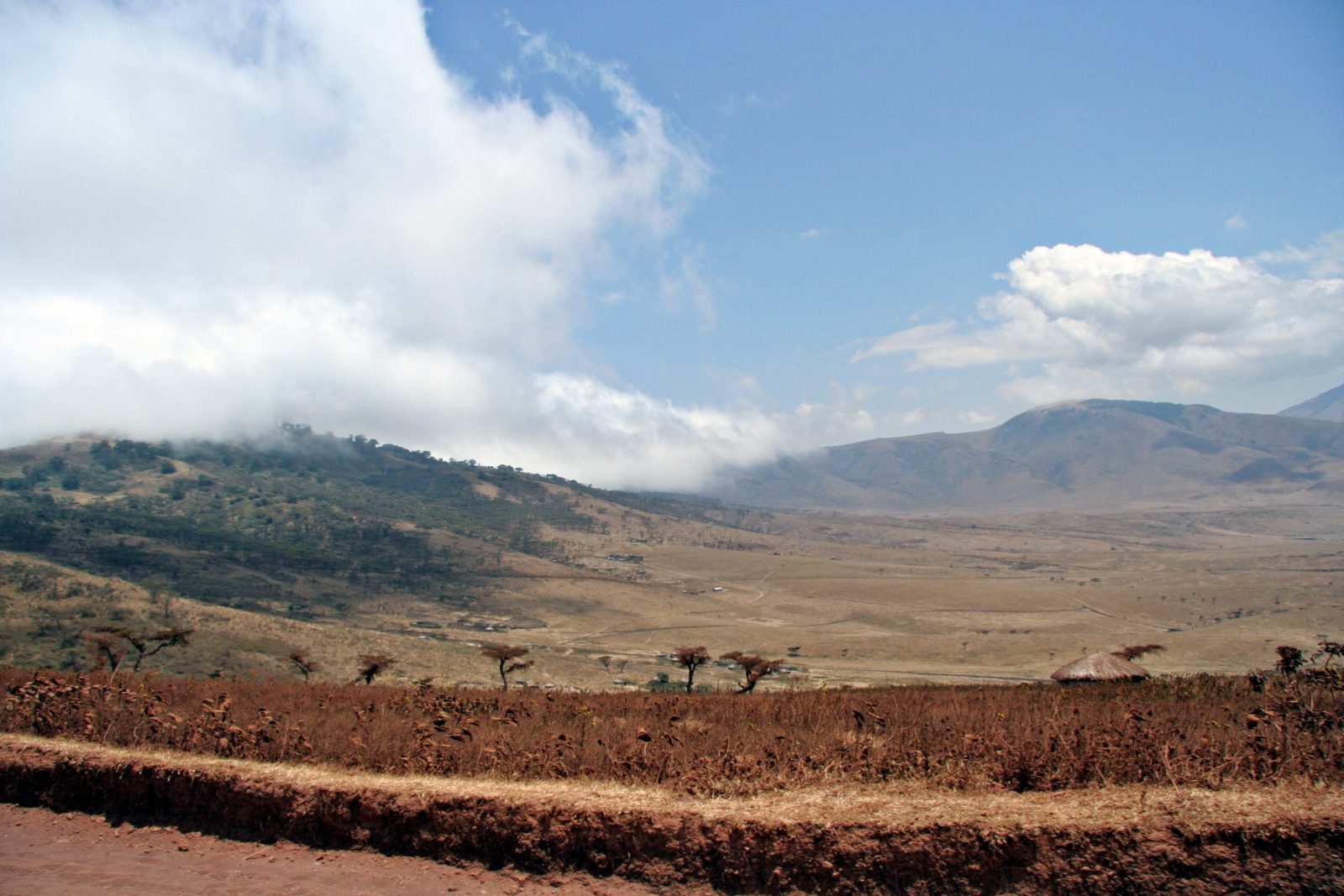 Vivir-en-Tanzania