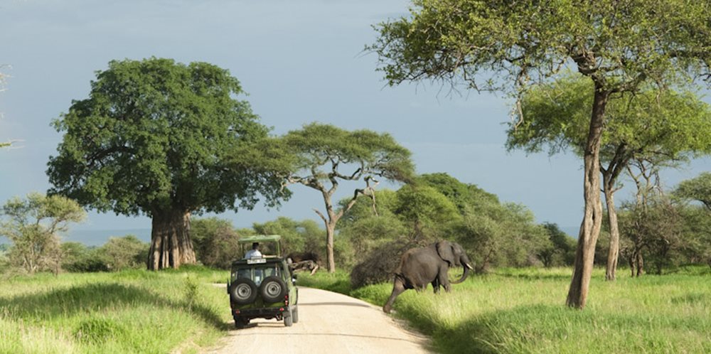 Planificar un Safari en Tanzania