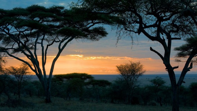 Safari en Tanzania Esencial