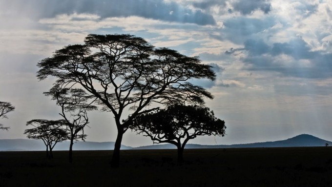 Safari en tanzania- ecoturismo