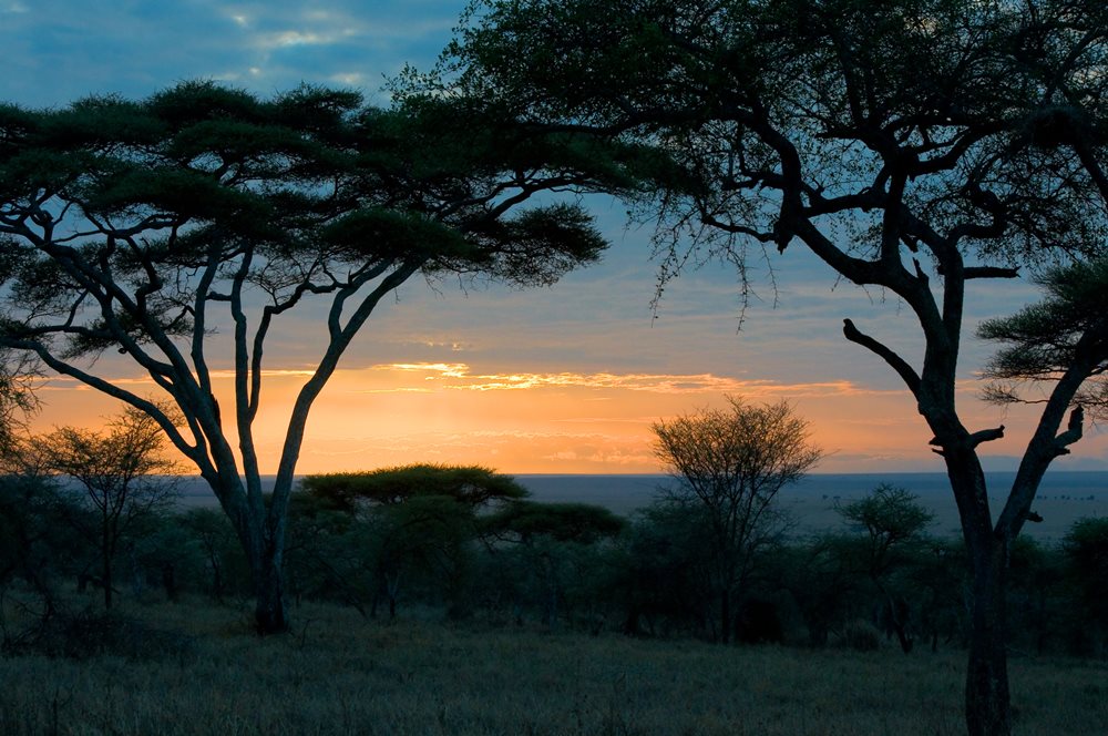 Safaris en Tanzania Norte