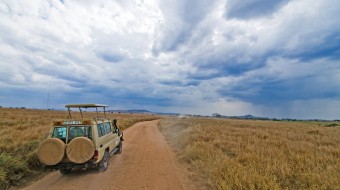 Safaris por zonas de Tanzania