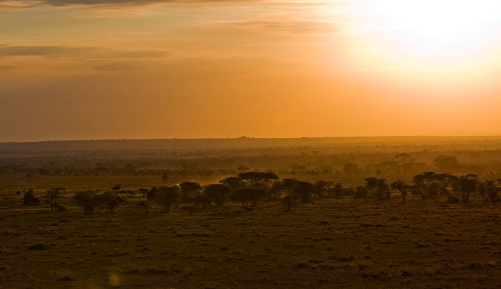Serengeti- Safaris en Tanzania