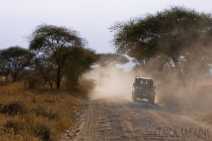 Safari en Tanzania de Aventura